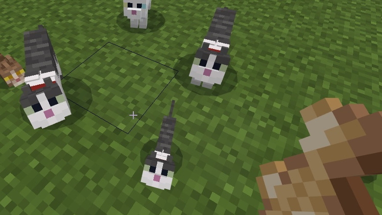 ユーザー投票で一番人気を獲得したネコ“Jellie”も今回実装