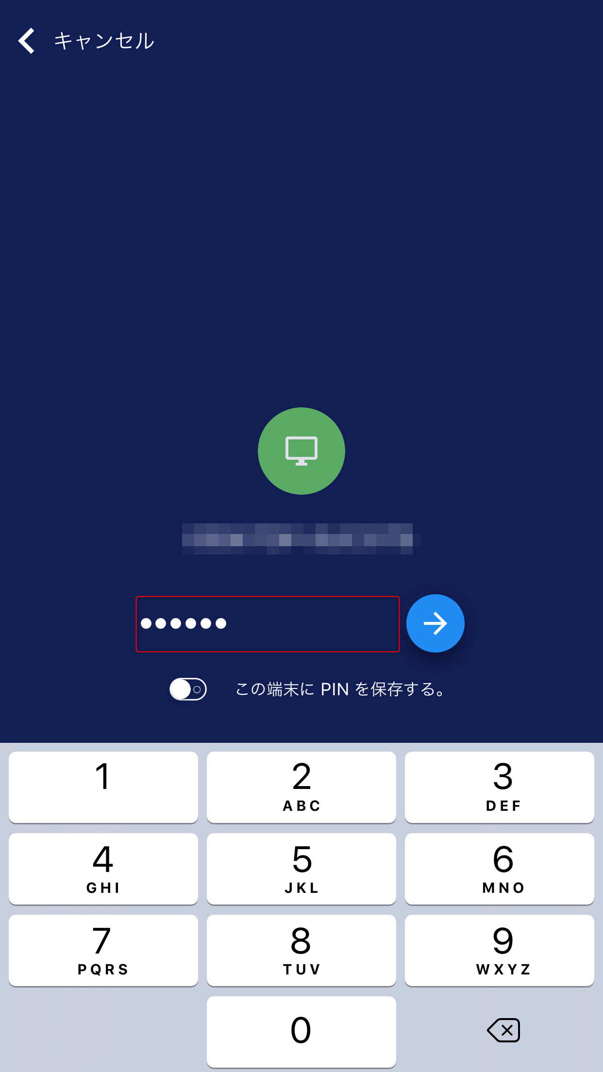 設定済みのPINを入力する