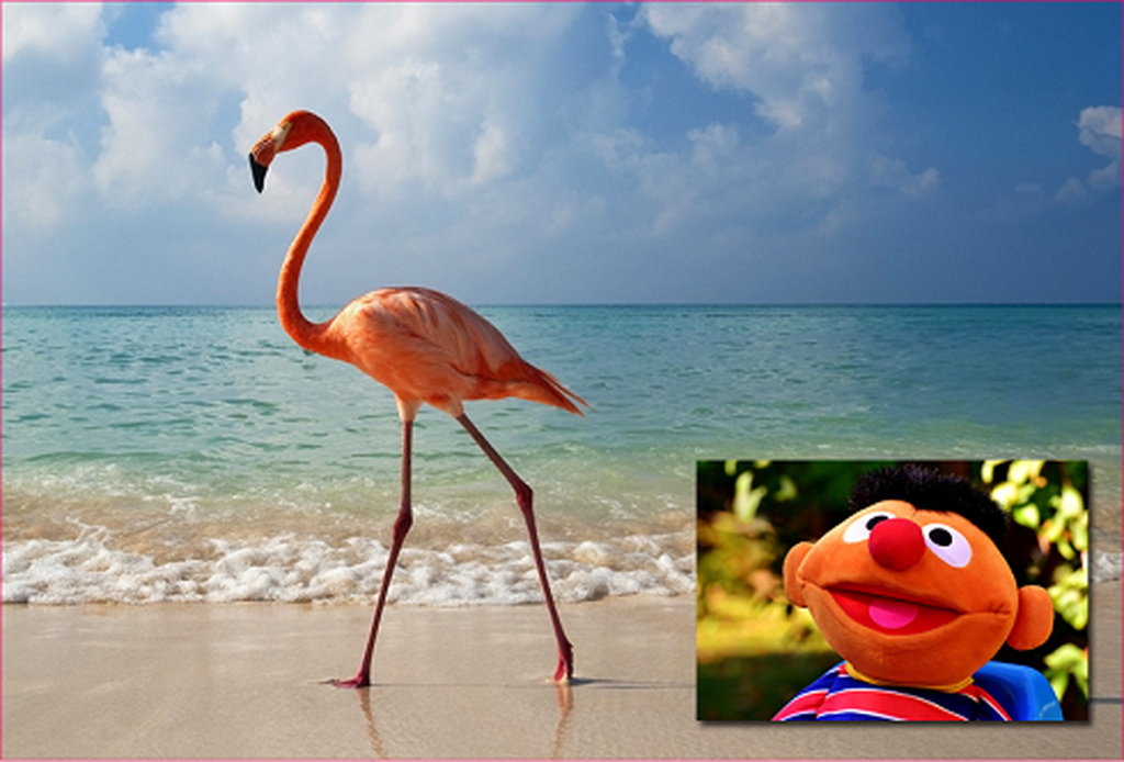 「RecButton 2.0」ではWebカメラがサポートされて、録画領域に含められるように