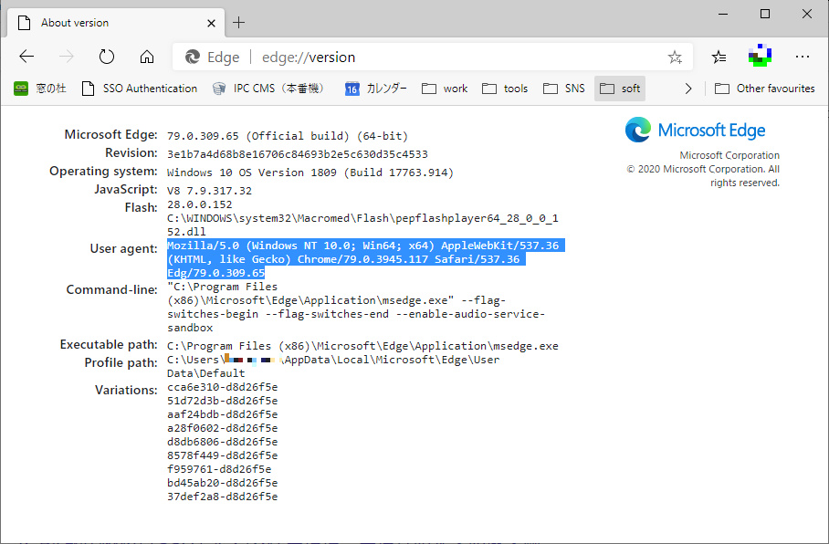 「Chromium」系ブラウザーの場合、UA文字列は“about:version”で確認できる