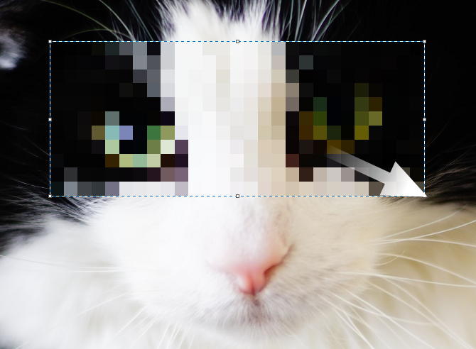 3. 小さくなった画像をドラッグして、元のサイズに戻します。