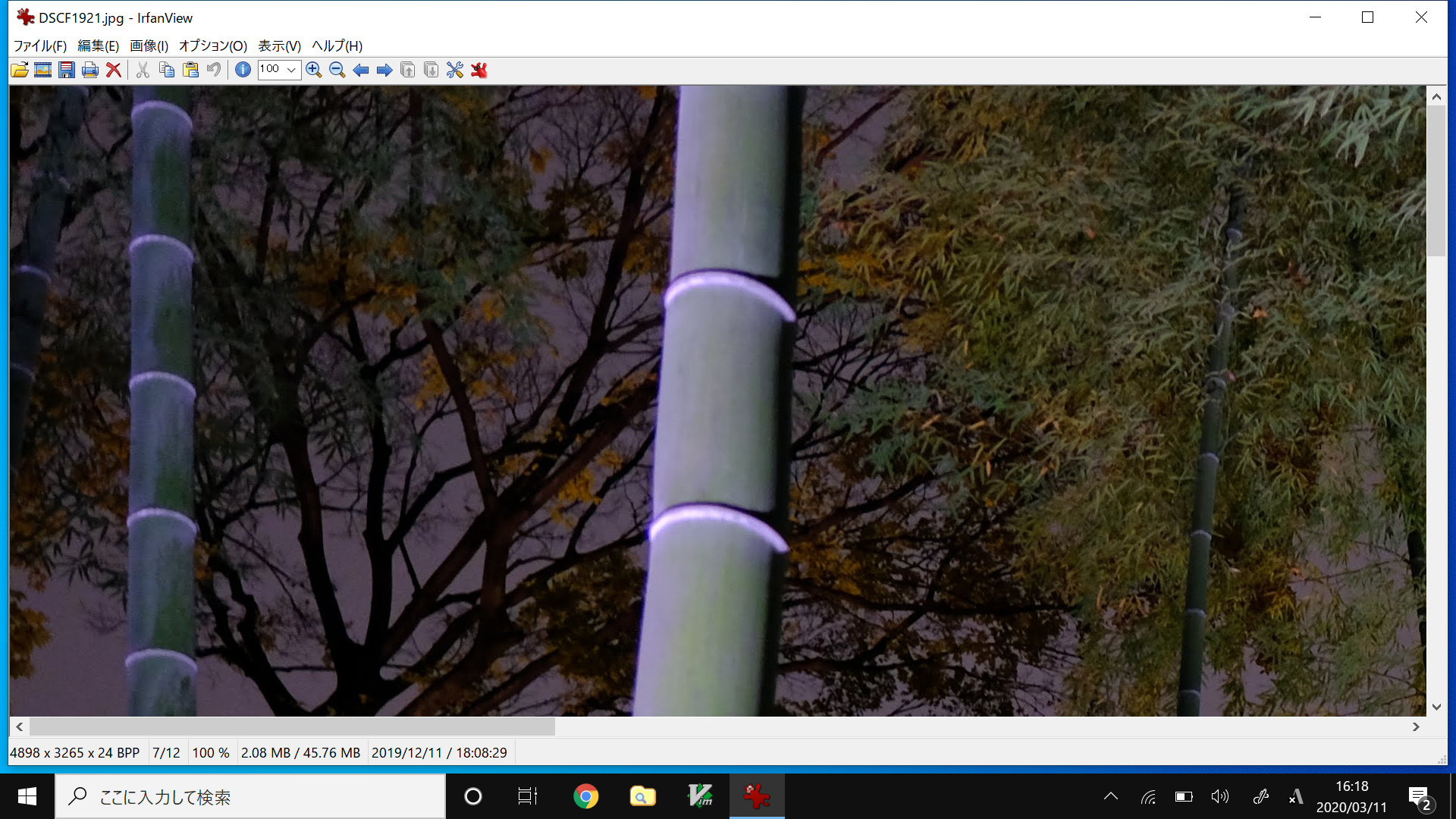 ［F］キーを押すことで、画像を等倍表示とウィンドウ内の表示をかんたんに切り替えられる