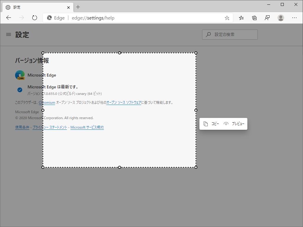 キャプチャー領域の選択ツール。ツールチップでクリップボードへの［コピー］コマンドと［プレビュー］コマンドが選択可能