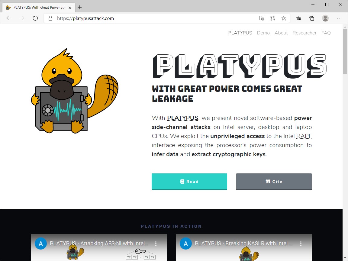 “PLATYPUS”脆弱性のWebサイト