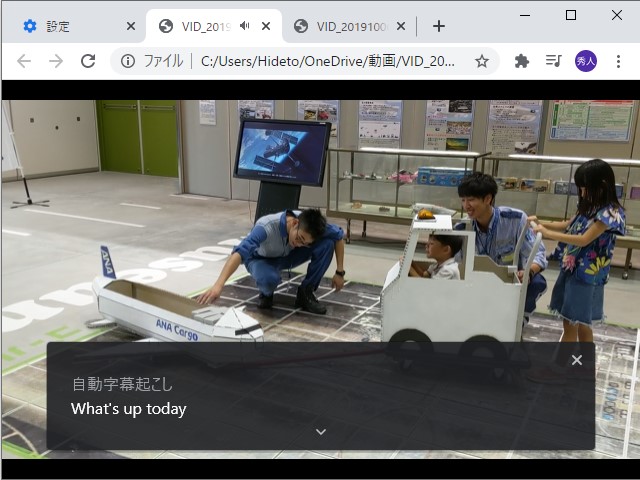 ローカルファイルの再生。日本語の会話には対応しておらず、英語として解釈される