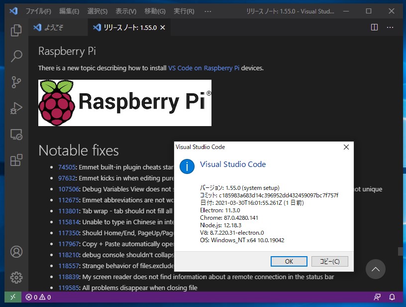 「Visual Studio Code」v1.55