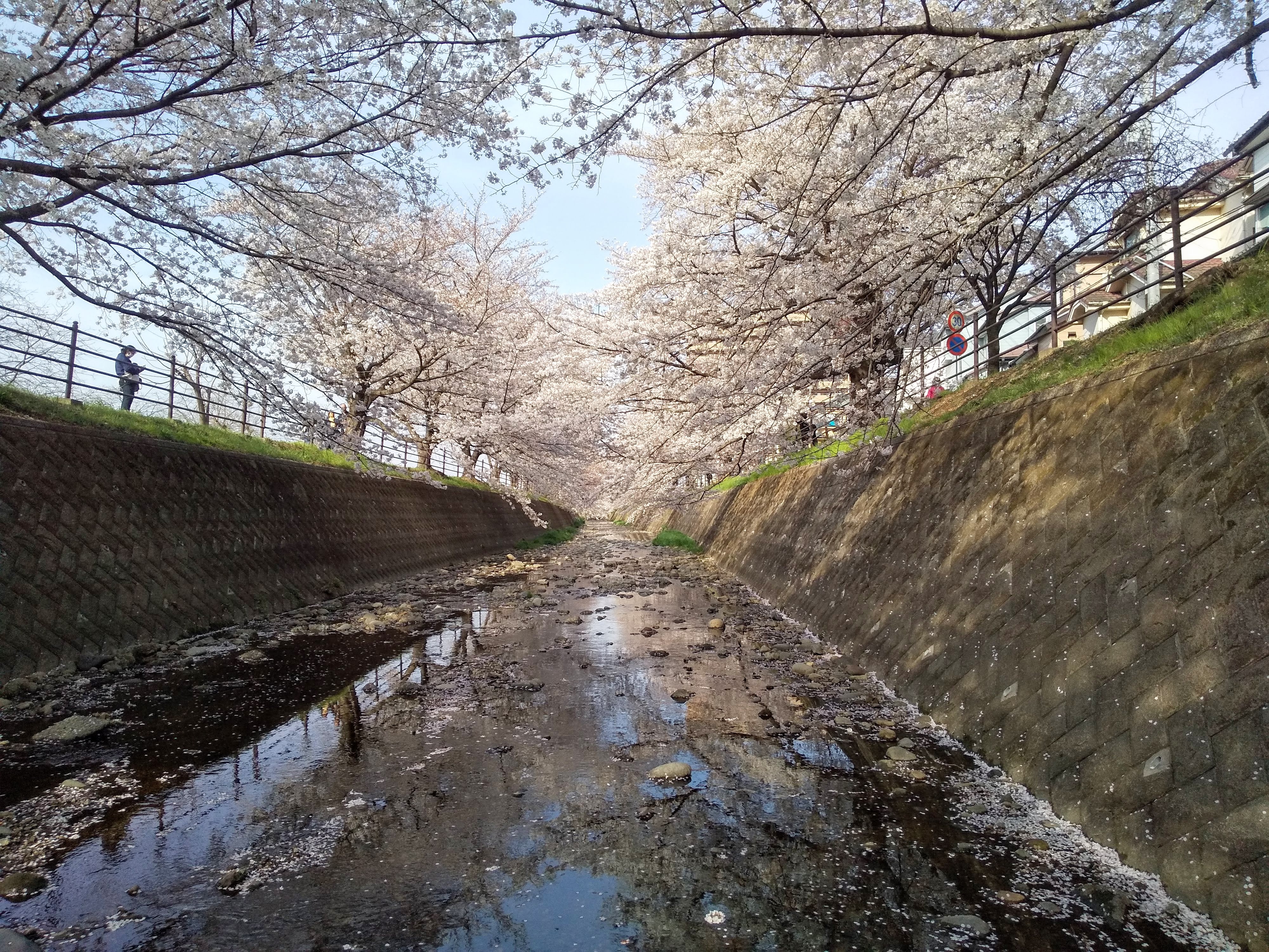 元のJPEG画像（3.63MB、写真の場合はJPEG画像のほうが圧縮率が高くなることが多い）