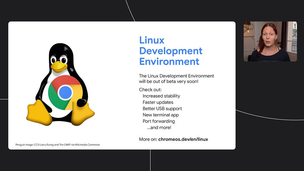 「Chrome OS 91」のLinux機能（crostini）