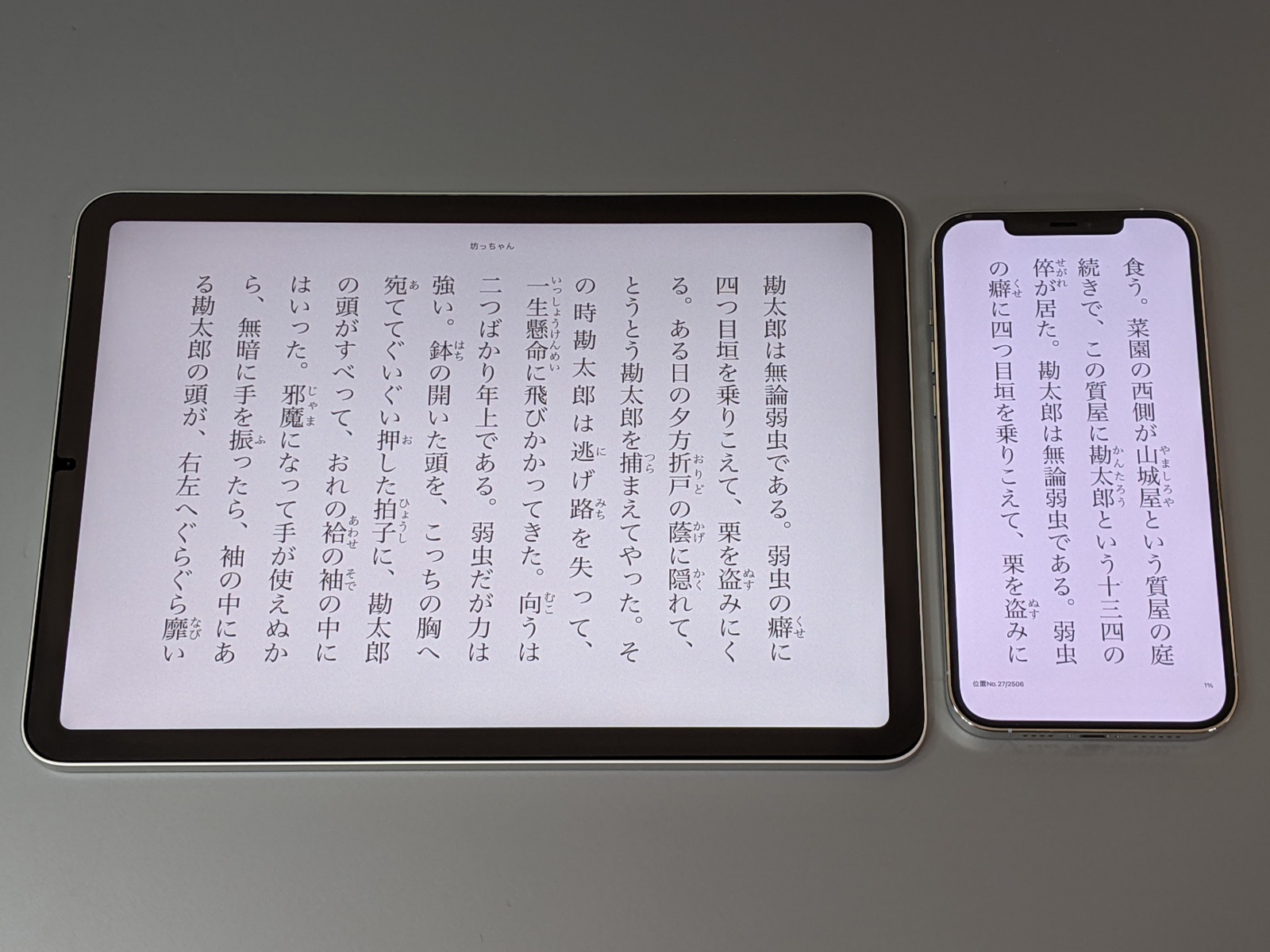 文字サイズを大きくするだけならば一般的なスマートフォン（右）でも可能だが、さすがに一画面あたりの文字数が少なすぎて読みづらい。できれば10型クラスのタブレット（左）を選びたいところ