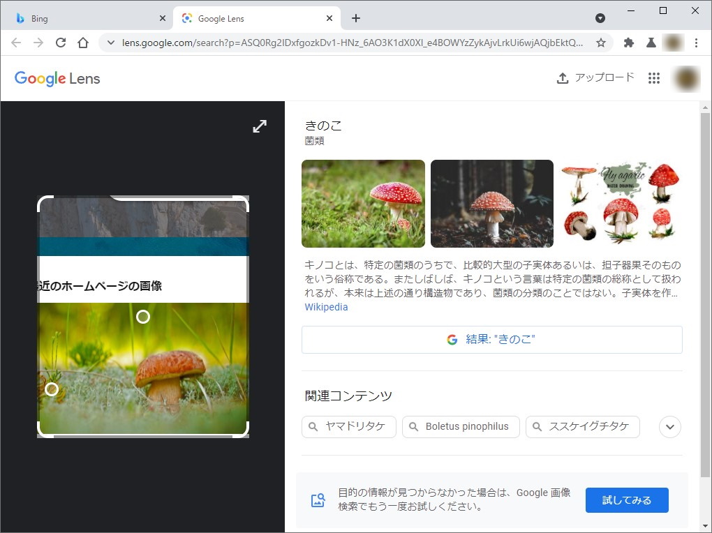 マウスをドラッグして検索したいエリアを指定すると、そのエリアがキャプチャーされ、「lens.google.com」へアップロードされる
