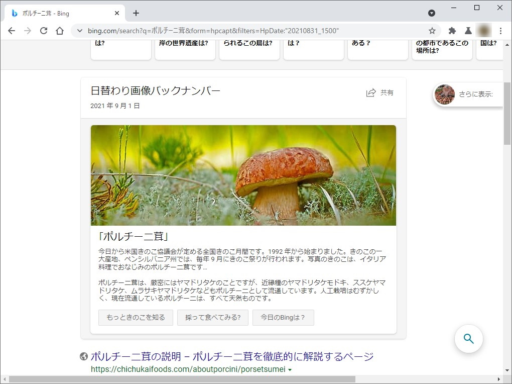 「Bing」の日替わり壁紙で試した様子。正解は「ポルチーニ茸」だが、「Google レンズ」の答えは「きのこ」だった