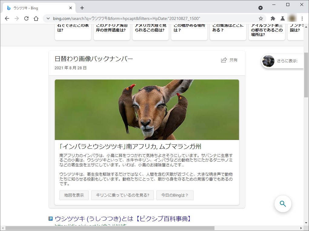被写体は「インパラ」。「Google レンズ」も見事正解