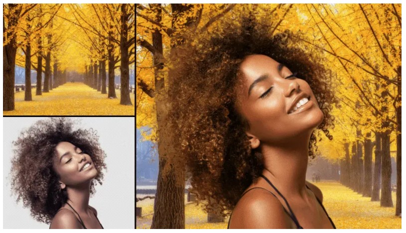 レイヤーのカラーおよび輝度を別のレイヤーに調和させて、完璧な合成画像を作成する「色調和」