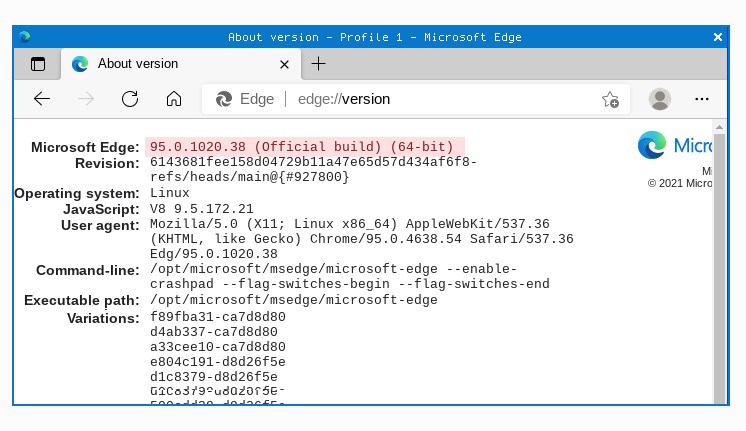 Linux版「Microsoft Edge」の安定（Stable）版