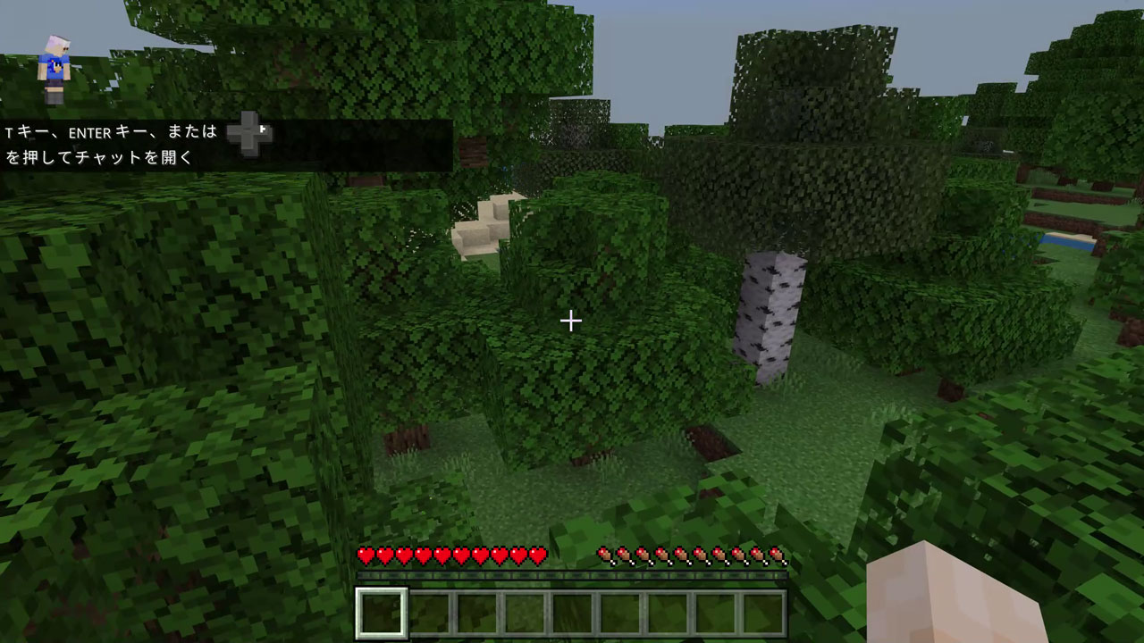 ゲームスタート時、何も持たない状態でただ1人、新たな世界に放り出される（しかも運悪く木の上から……）