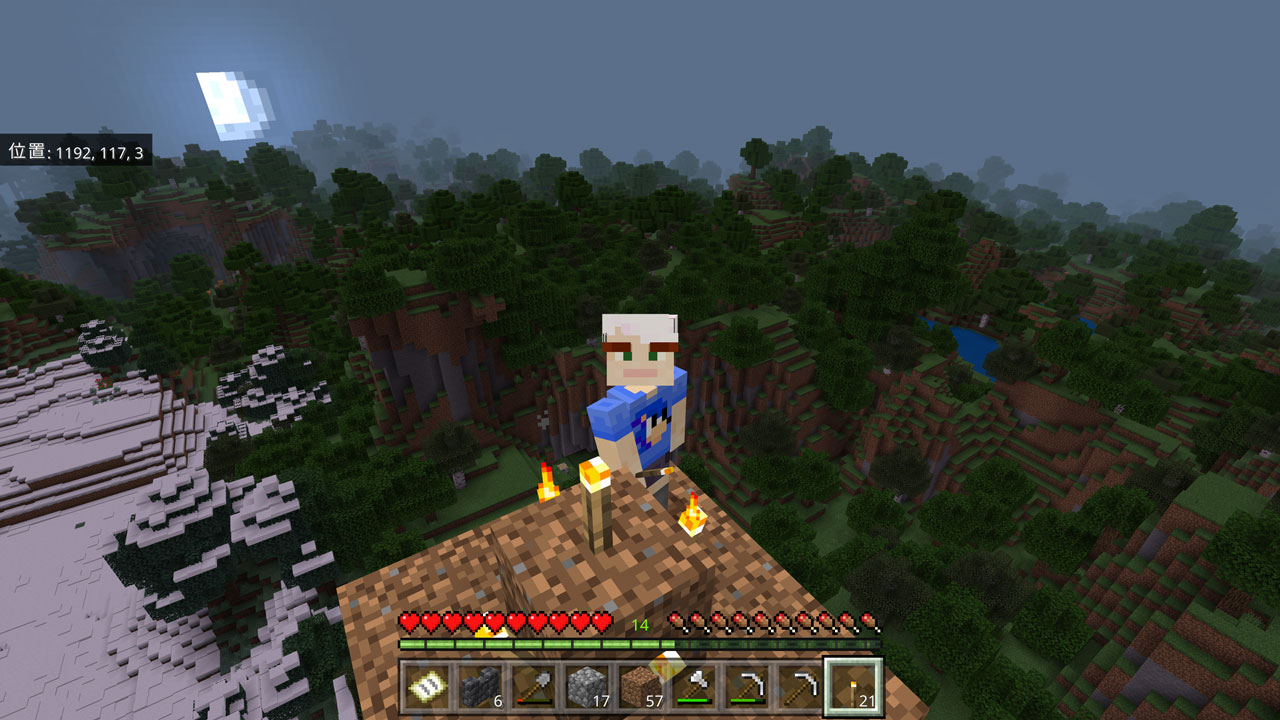 土を高く積み上げて高い塔を作り、周囲を見渡すのも面白い。ただし足を踏み外すと落下死するので注意