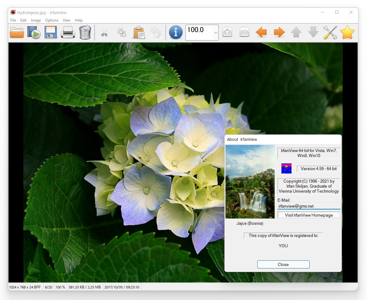 「IrfanView」v4.59