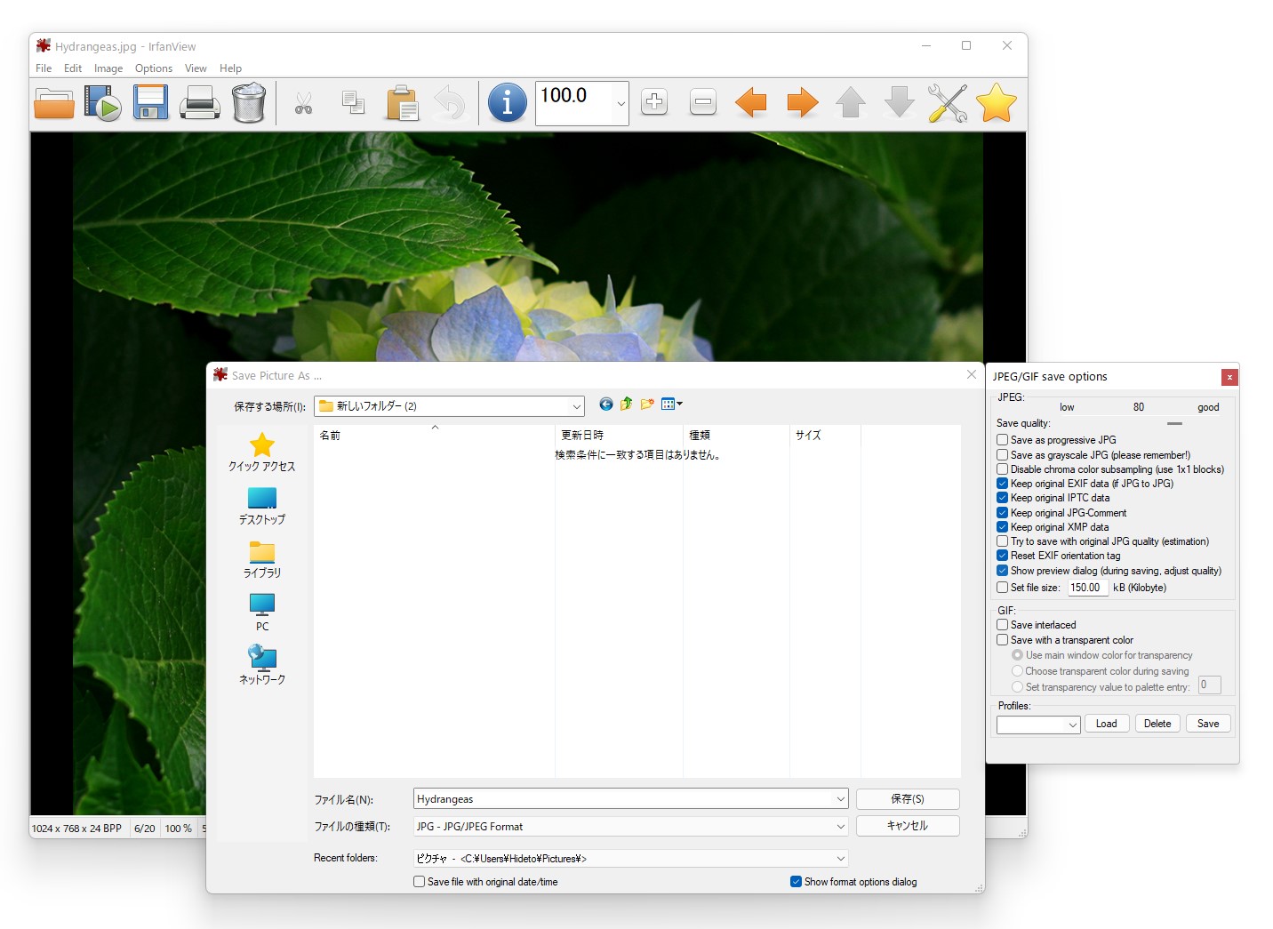 ［名前をつけて保存］ダイアログを利用する際に現れるオプションウィドウで［Show preview dialog］オプションをONに