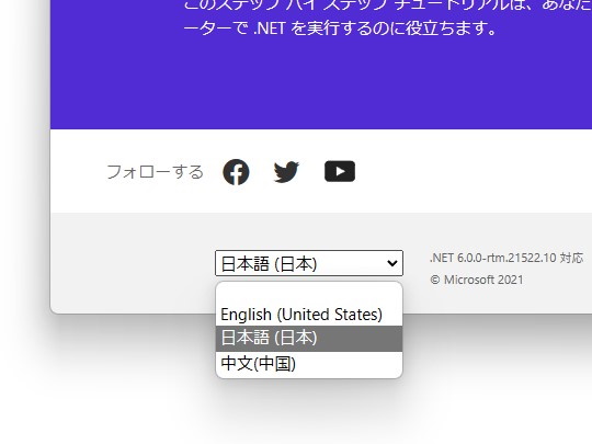 Webサイト下の言語ピッカーでカルチャーの切り替えが可能