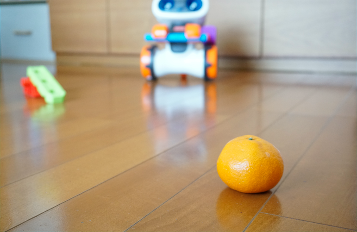 ミカンを転がす