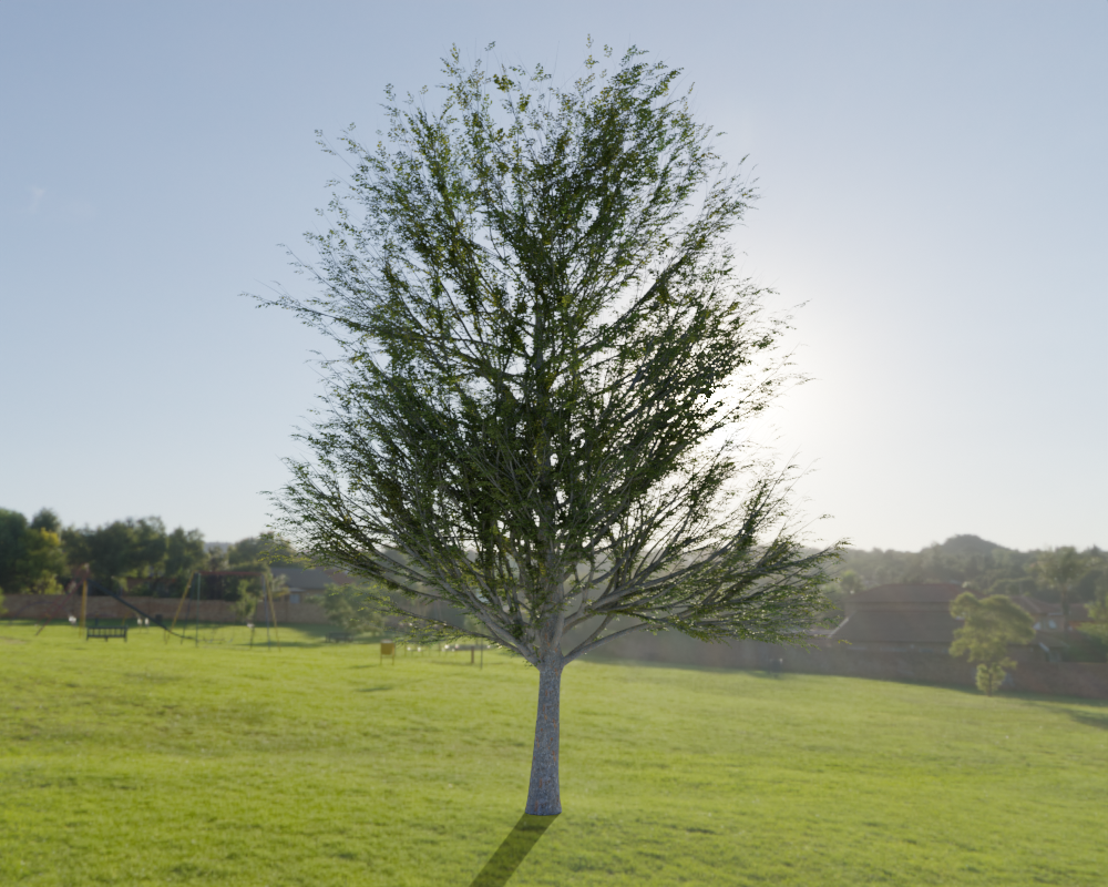 「Modular Tree」により自動生成された樹木のレンダリング例