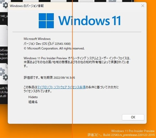 すべての Win32 アプリ向けに Microsoft Store がオープンしました。新しい「アプリの復元」機能を追加