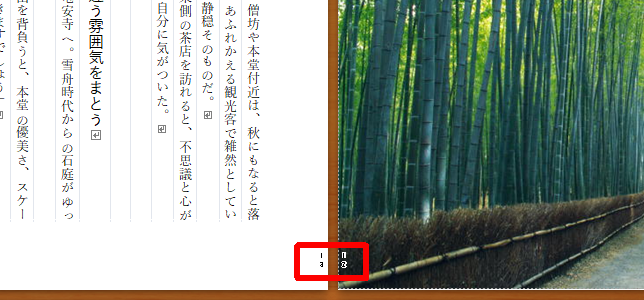 「隠しノンブル」