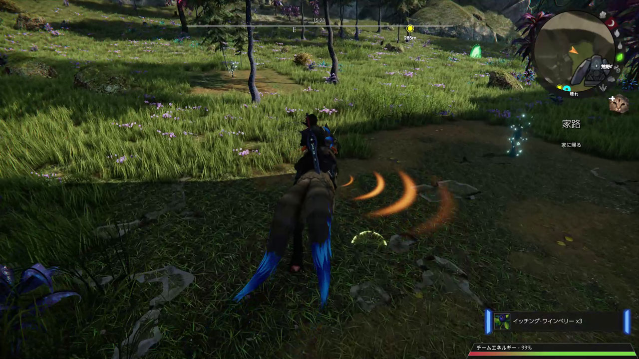 フィールドに落ちているものを採集