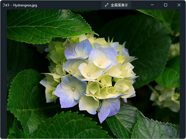 画像ファイルを画像ビューワーで開いた様子