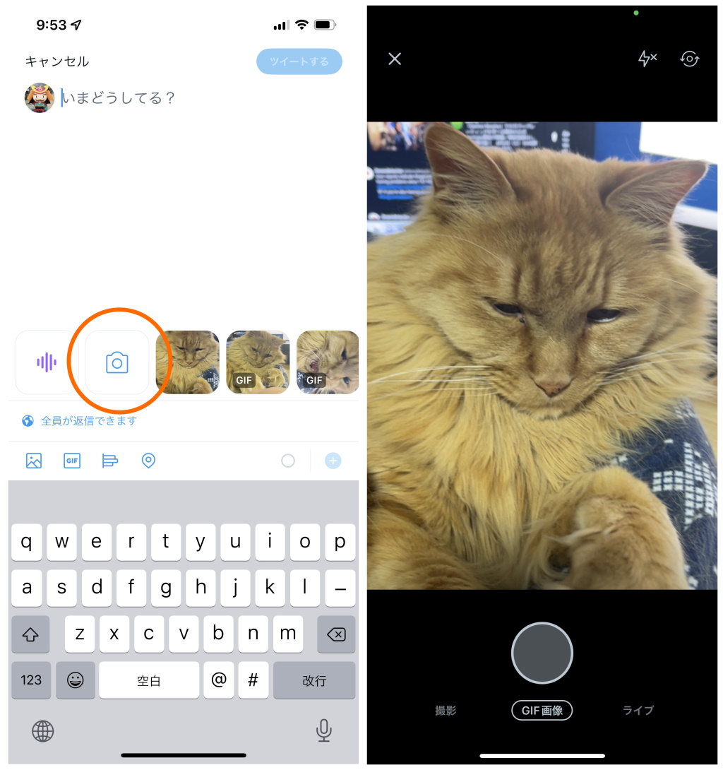 iOS版「Twitter」アプリのカメラにアニメーションGIFの作成機能が追加