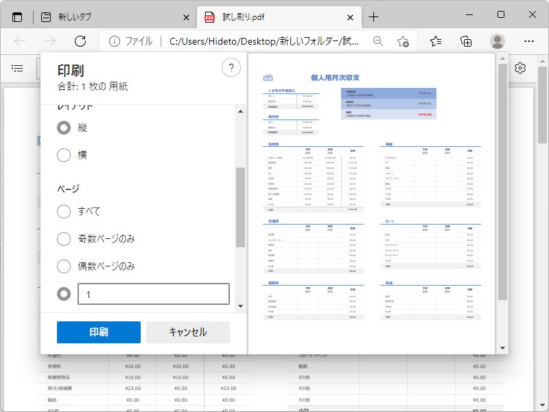 プレビューを確認し、目的のページだけ印刷