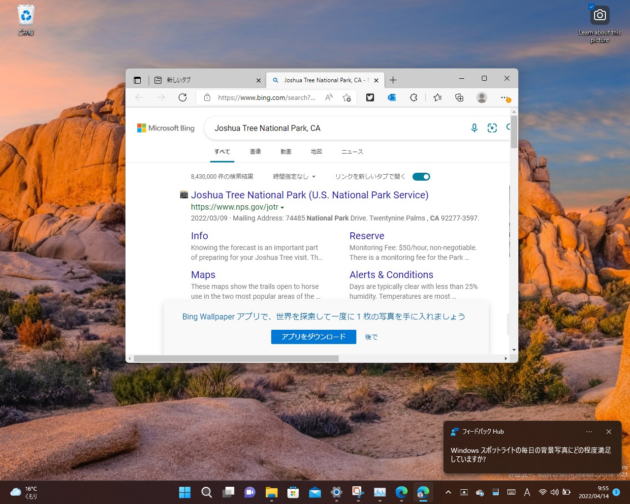 クリックすると壁紙に使われている写真の詳細情報を「Bing」で検索