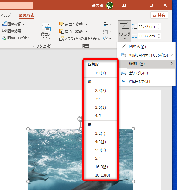 ［縦横比］では切り抜きの比率が設定される