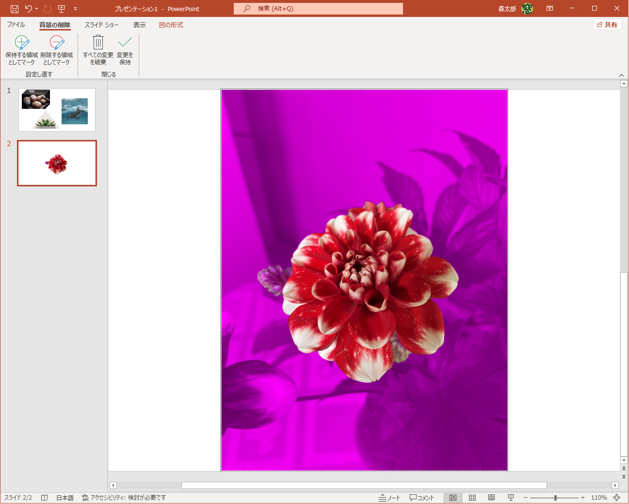 切り抜きの範囲が自動的に認識された。紫色の個所が削除される範囲。主題の花と関係のない左と下の個所が残っている