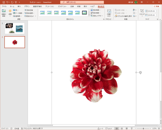 Powerpointは被写体の自動トリミングも可能 写真の切り抜きもパワポだけで完結 残業を減らす Officeテクニック 窓の杜