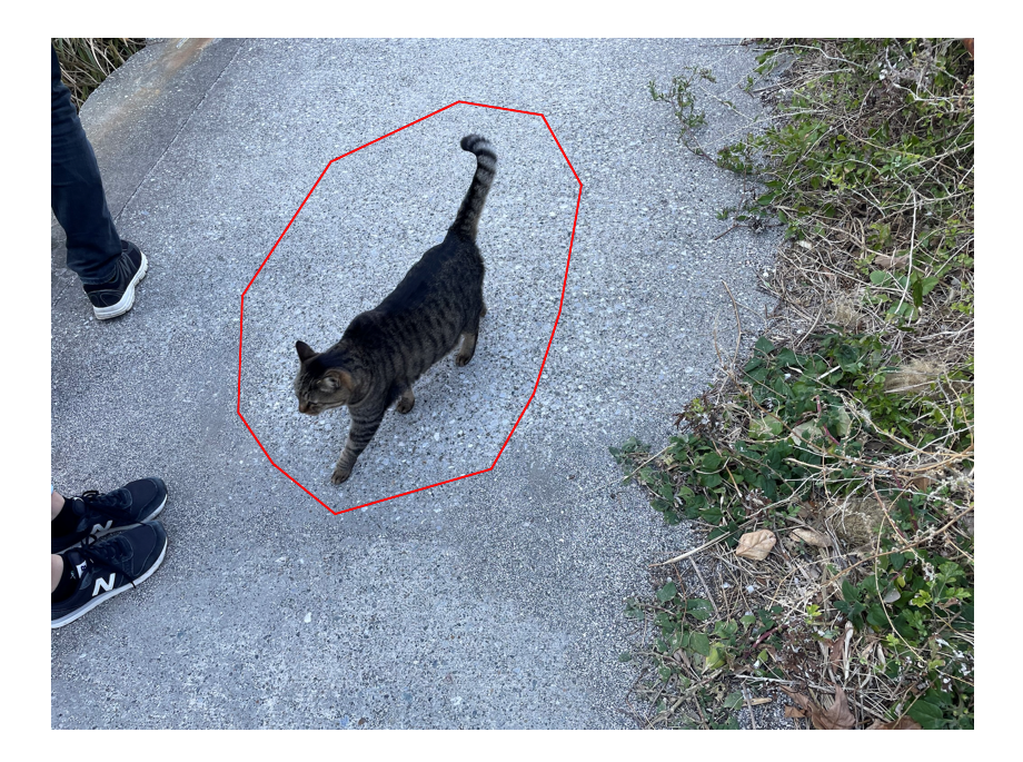 赤線のような多角形で切り抜く