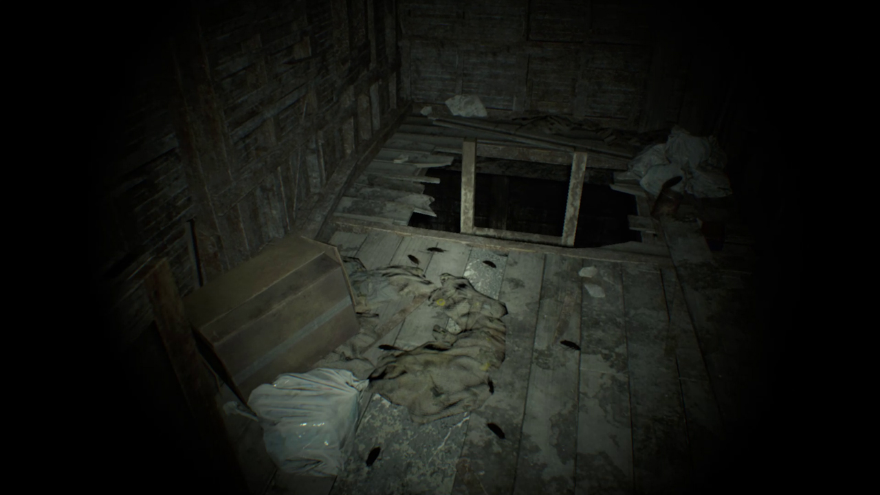 地下に続くはしご。露骨に怪しい