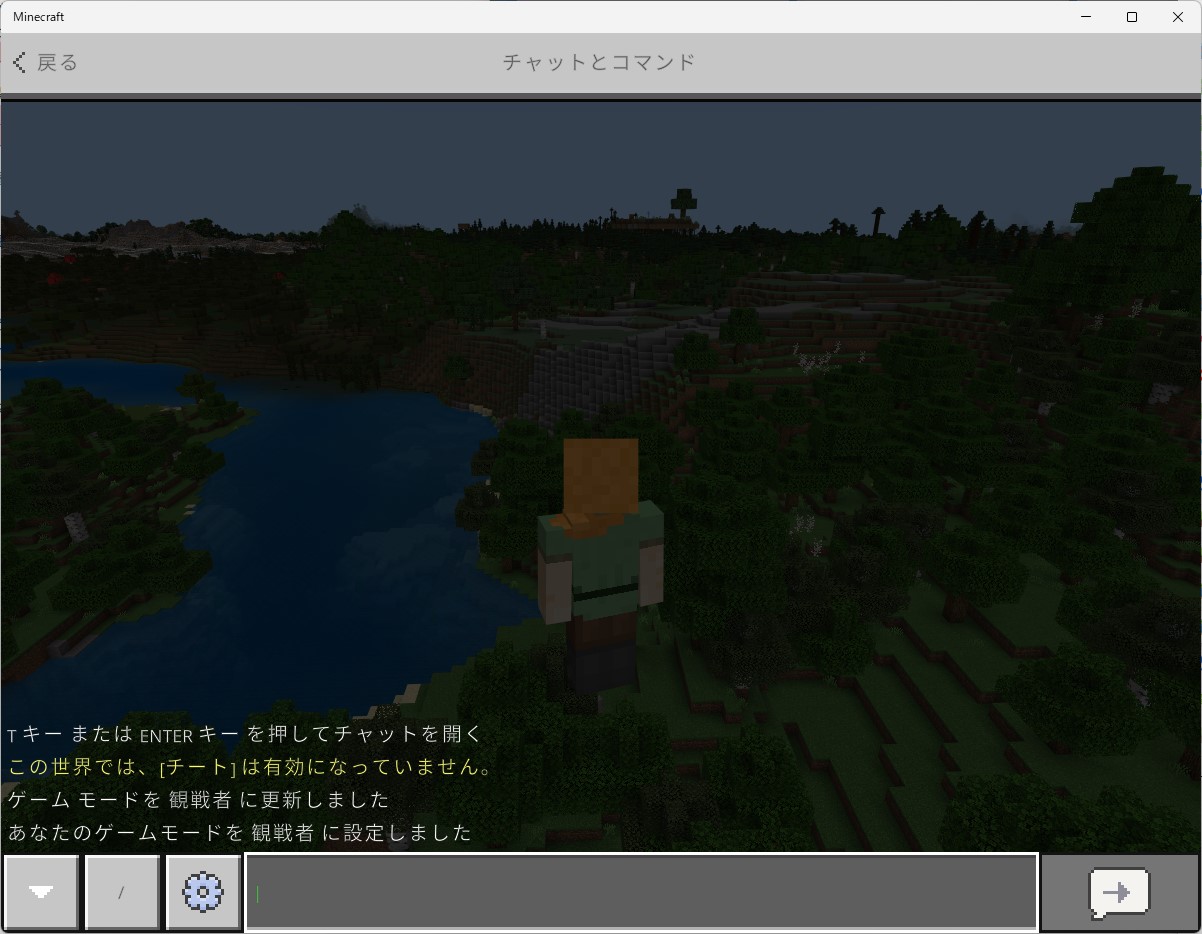 観察者モード有効化した様子