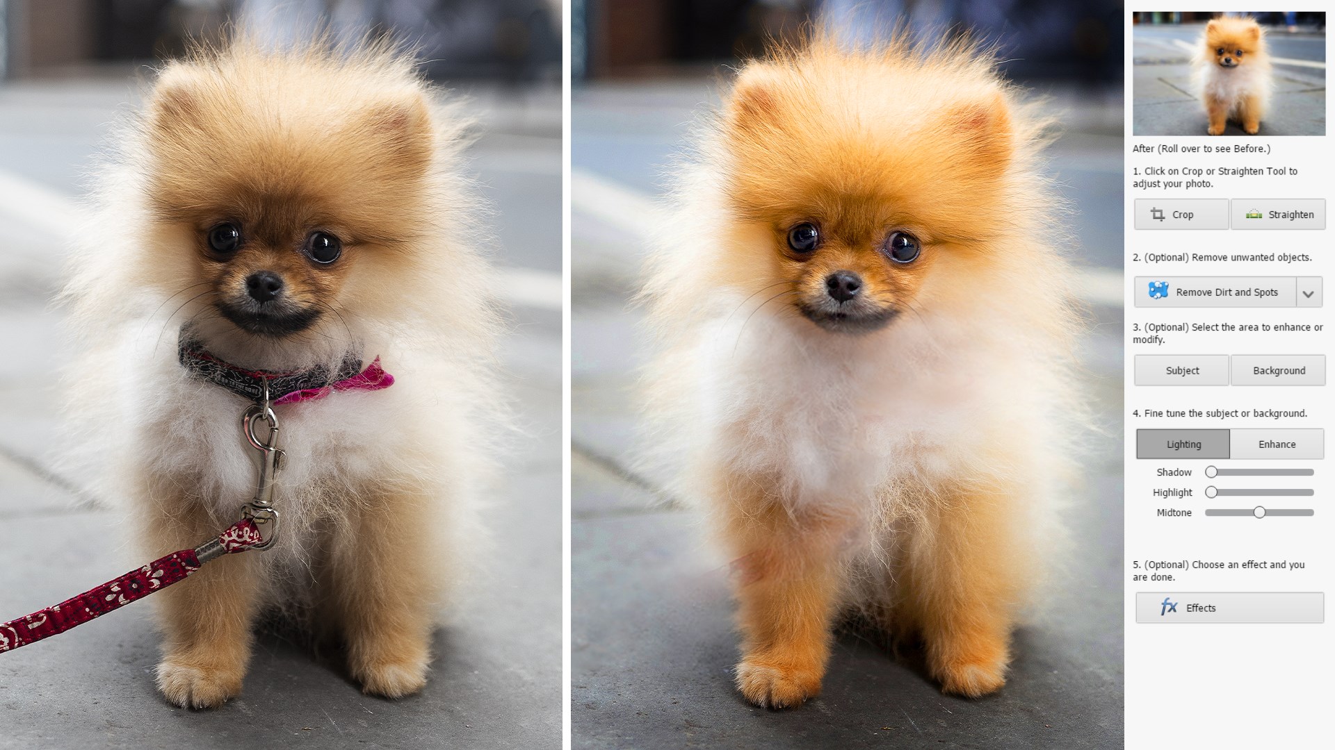 ペット写真から首輪やリードを外すこともできる