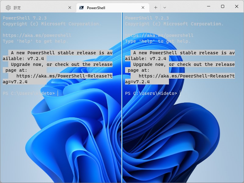 試験オプションを有効にした様子