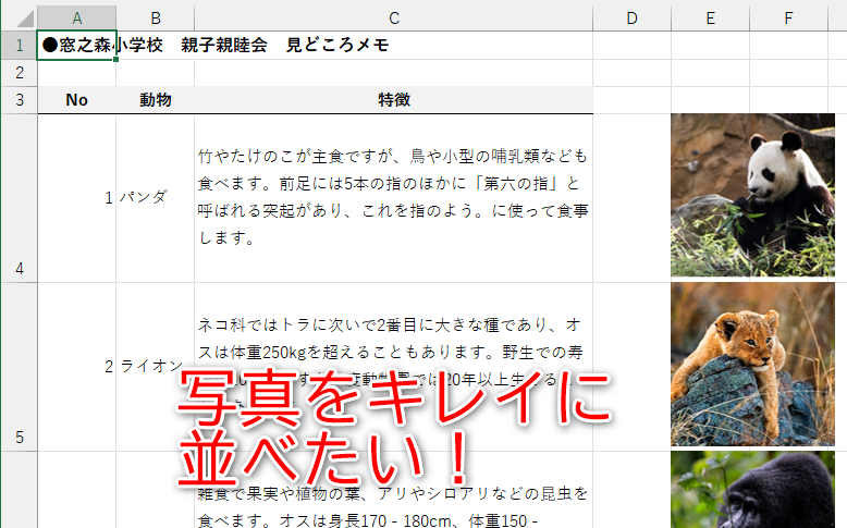 写真を並べる操作は図形やグラフにも応用できます