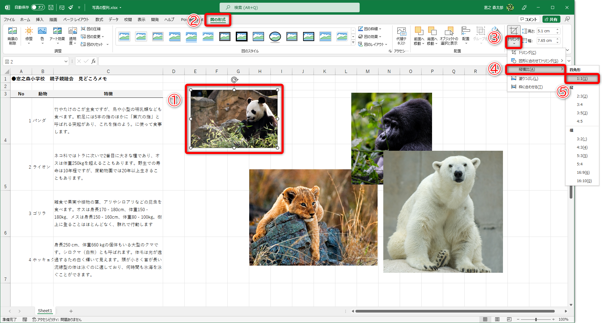 写真を選択（①）して、［図の形式］タブ(②)をクリック、［トリミング］ボタンの下部分（③）をクリックして［縦横比］（④）→［1:1］（⑤）の順にクリックします。
