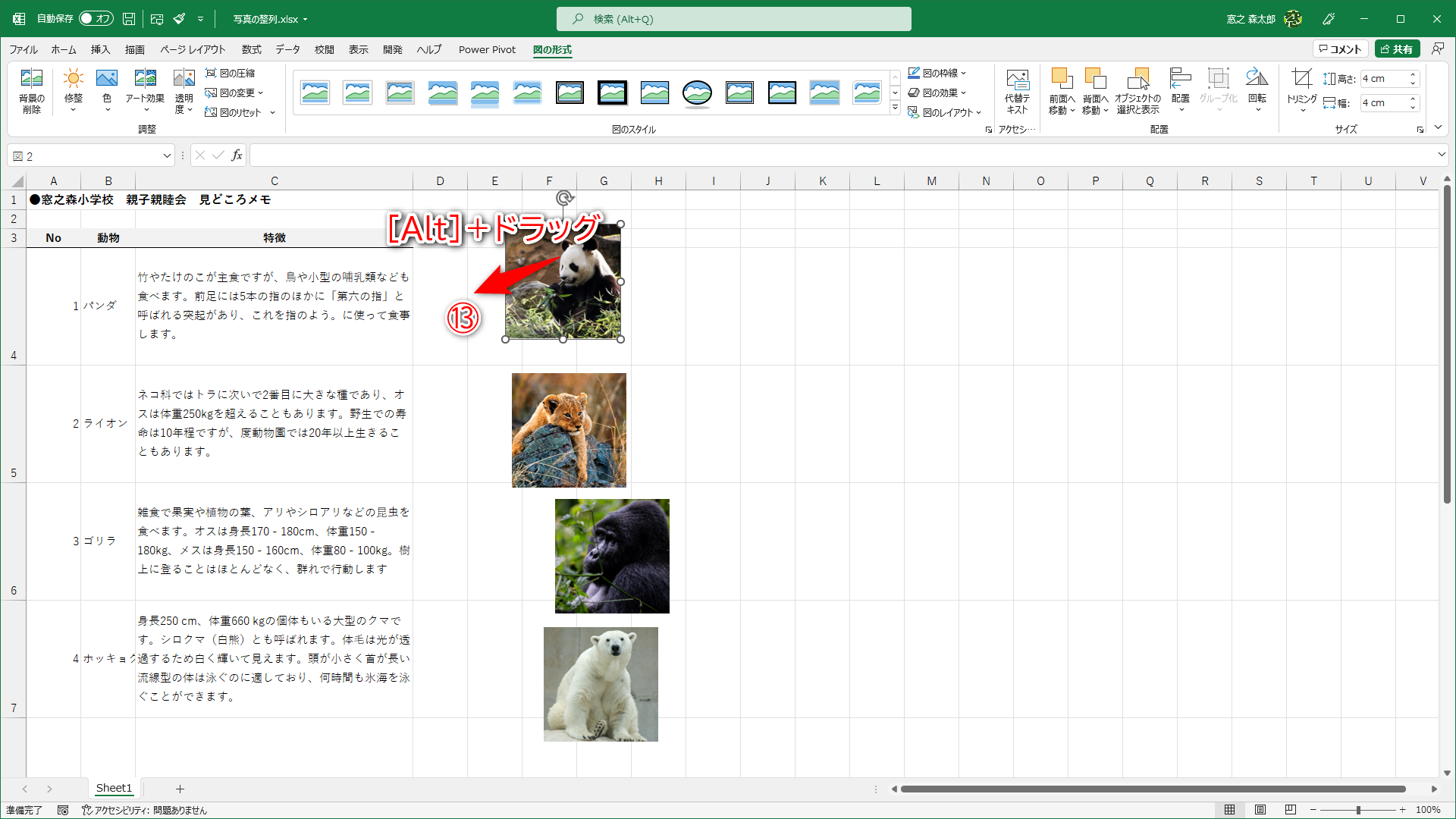 ［Alt］キーを押しながら、写真をドラッグ（⑬）します