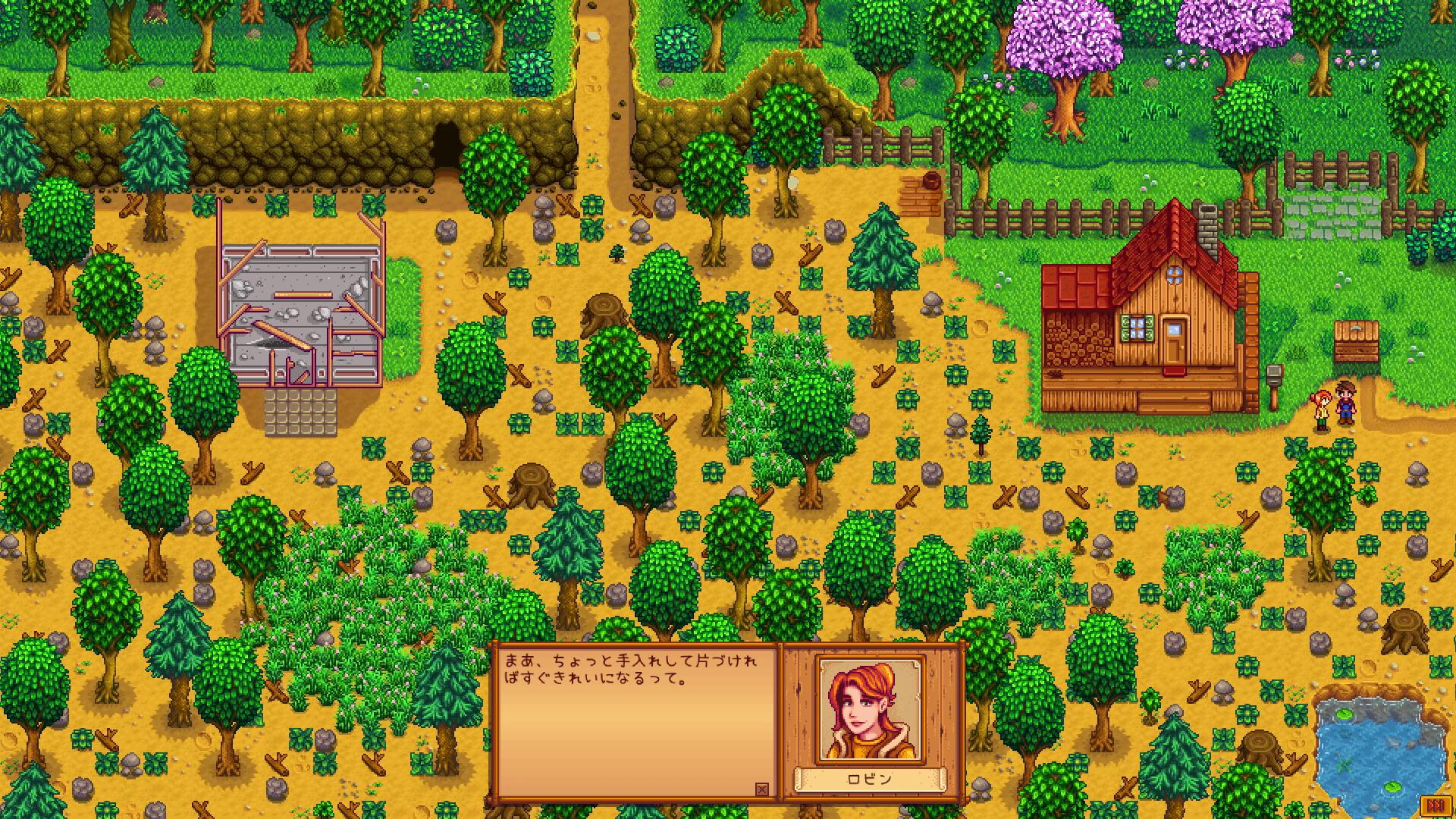 驚くほど荒れた牧場