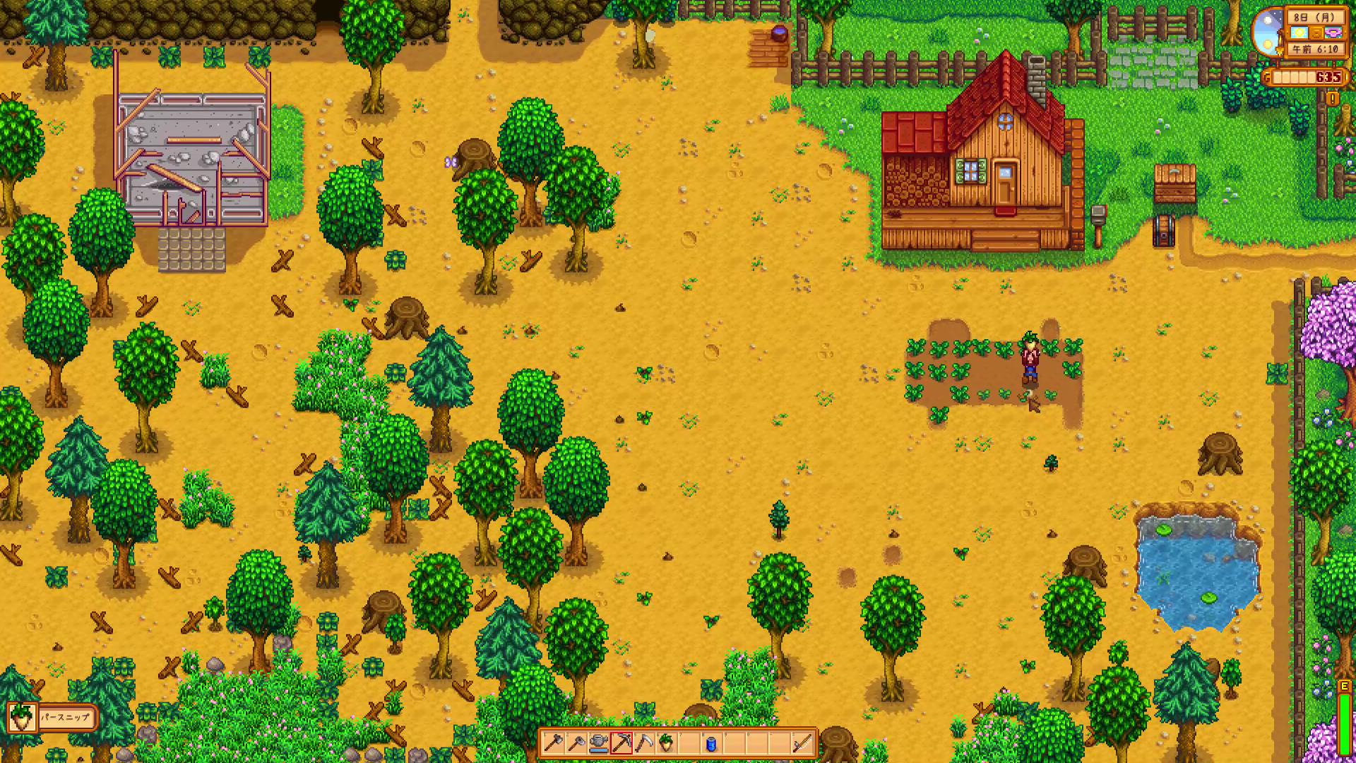 作物を作るには数日かかる。採れた時はやっぱりうれしい（お金にもなるし！）