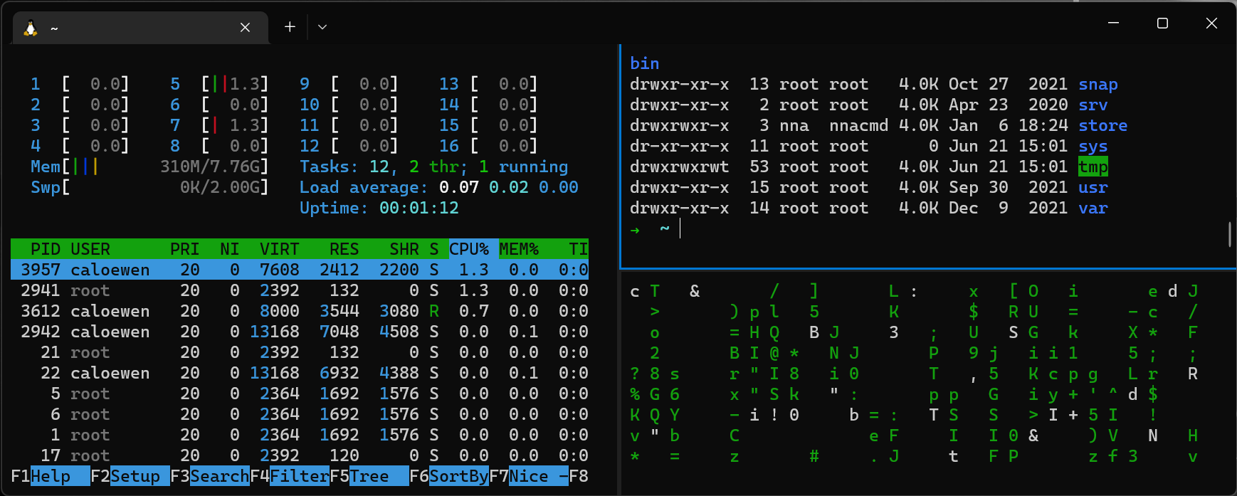 「Windows Server 2022」で「WSL 2」が利用可能に
