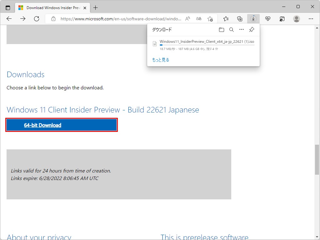24時間だけ利用できるダウンロードボタンが現れる
