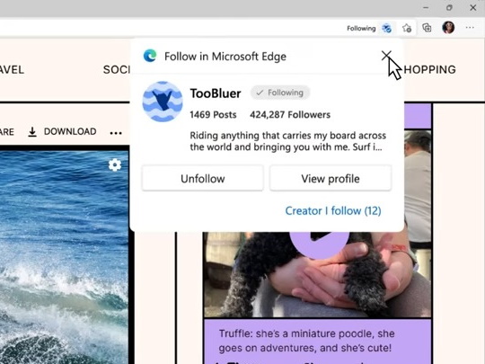 「YouTube」や「Bilibili」、「TikTok」などで見つけたコンテンツクリエイターをフォロー