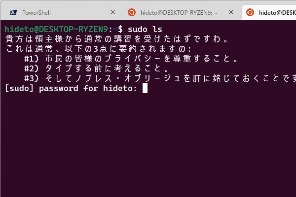 お嬢様化されてしまった「sudo」コマンドの警告メッセージ