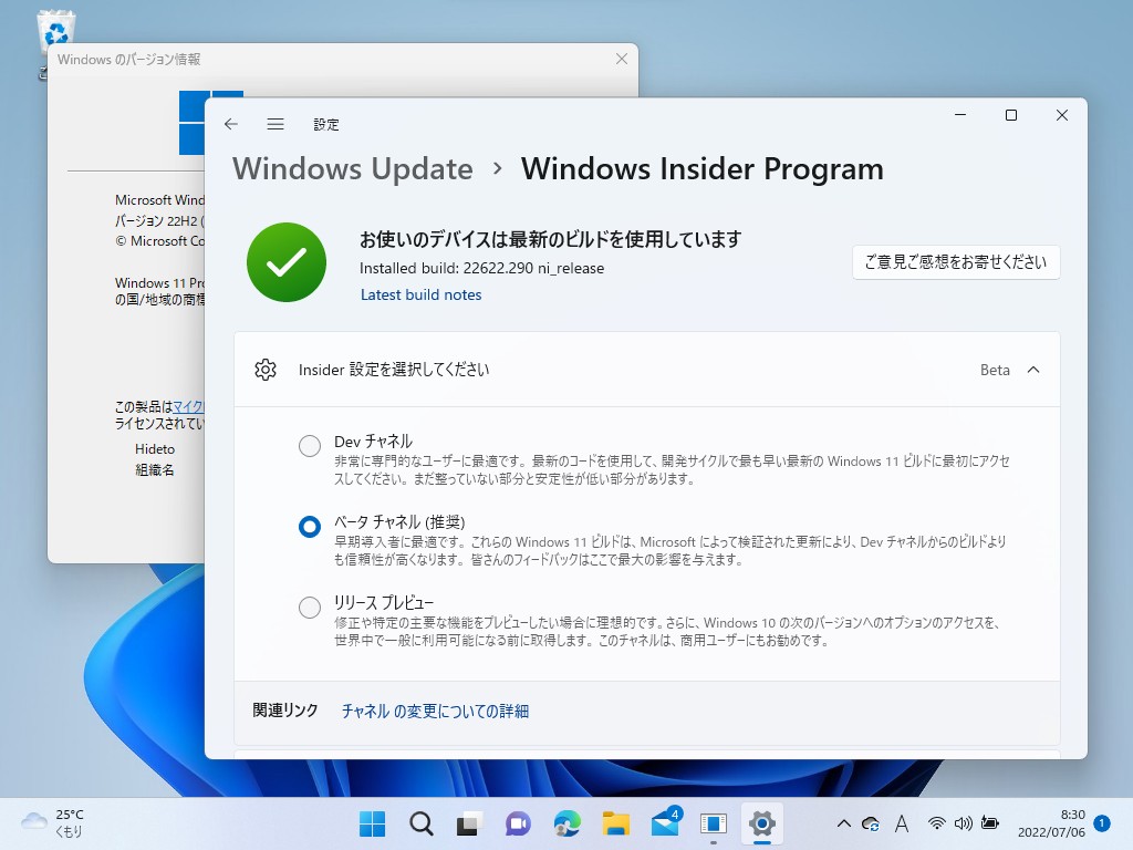 「Windows 11 Insider Preview」Build 22621.290/22622.290がBetaチャネルで提供開始